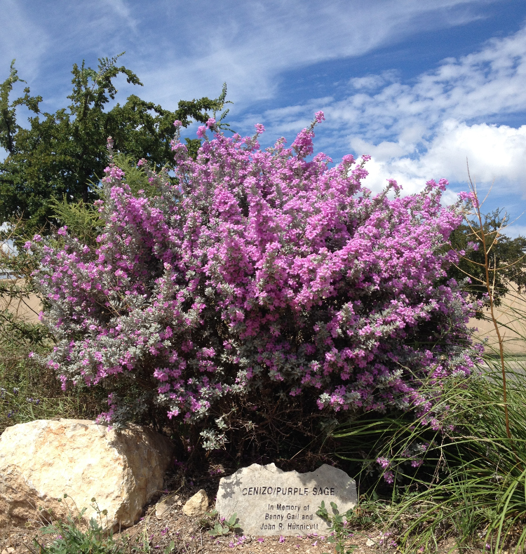 Photo Gallery Ozona, Texas