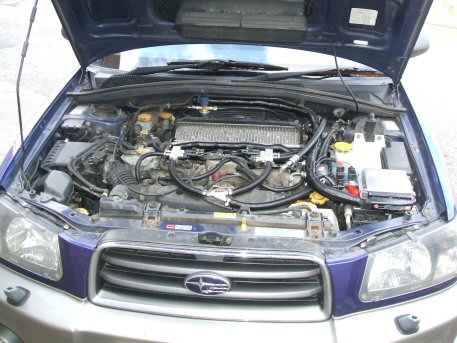 LPG Conversion Subaru Forester 2.5L TURBO year 2002 by OZON LPG. Subaru