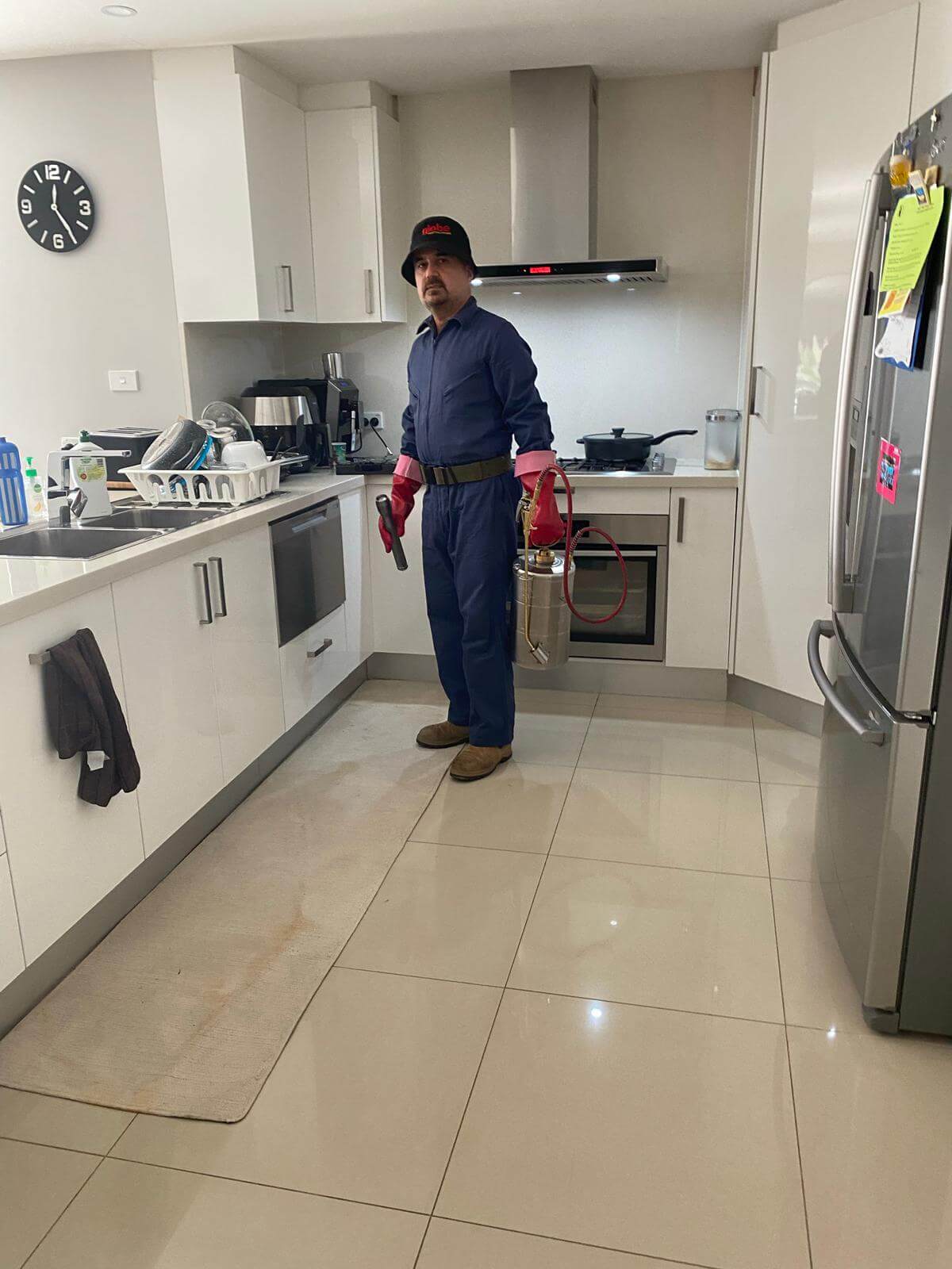 Gallery OZ Pest Control Canberra