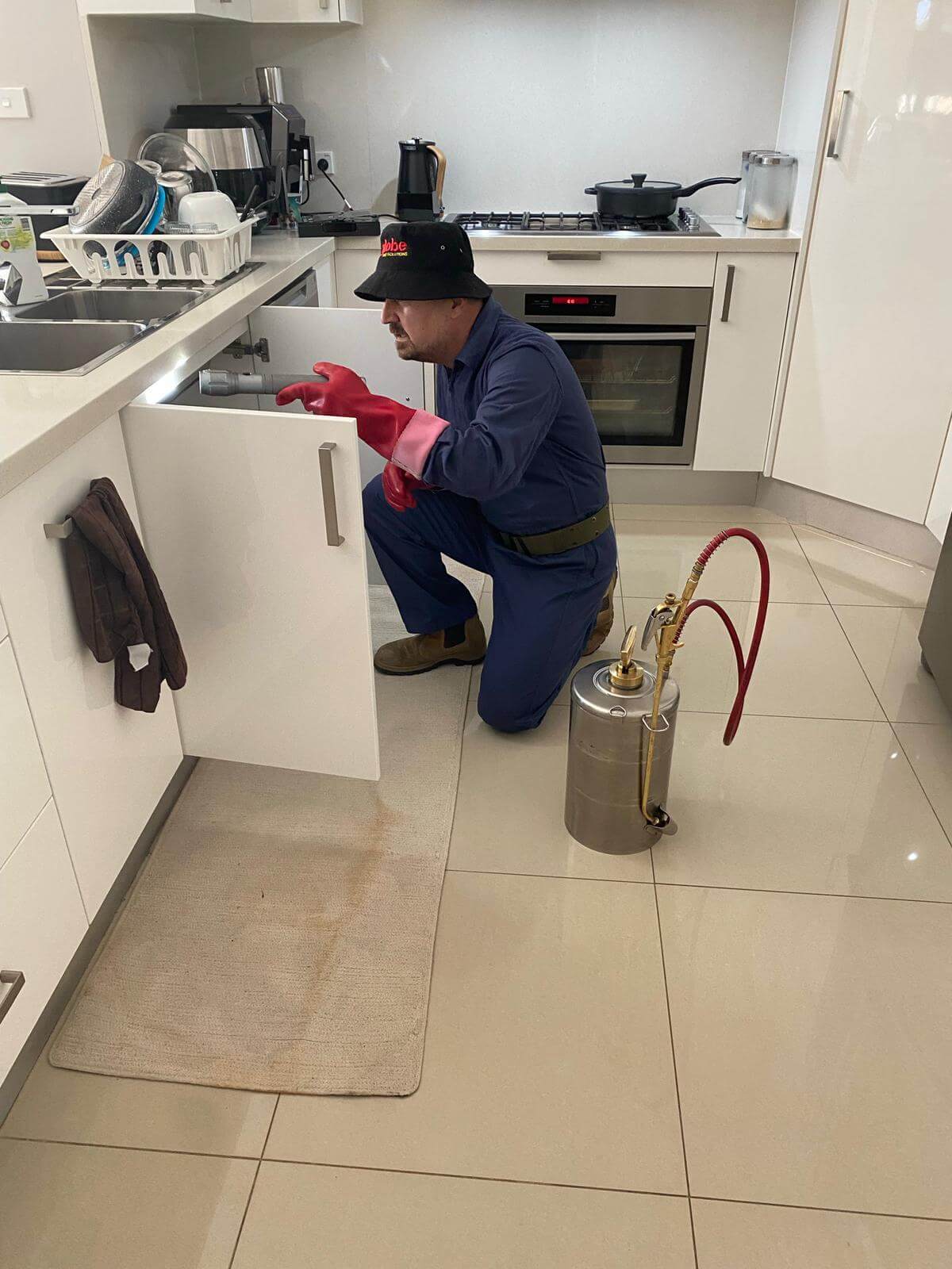 Gallery OZ Pest Control Canberra