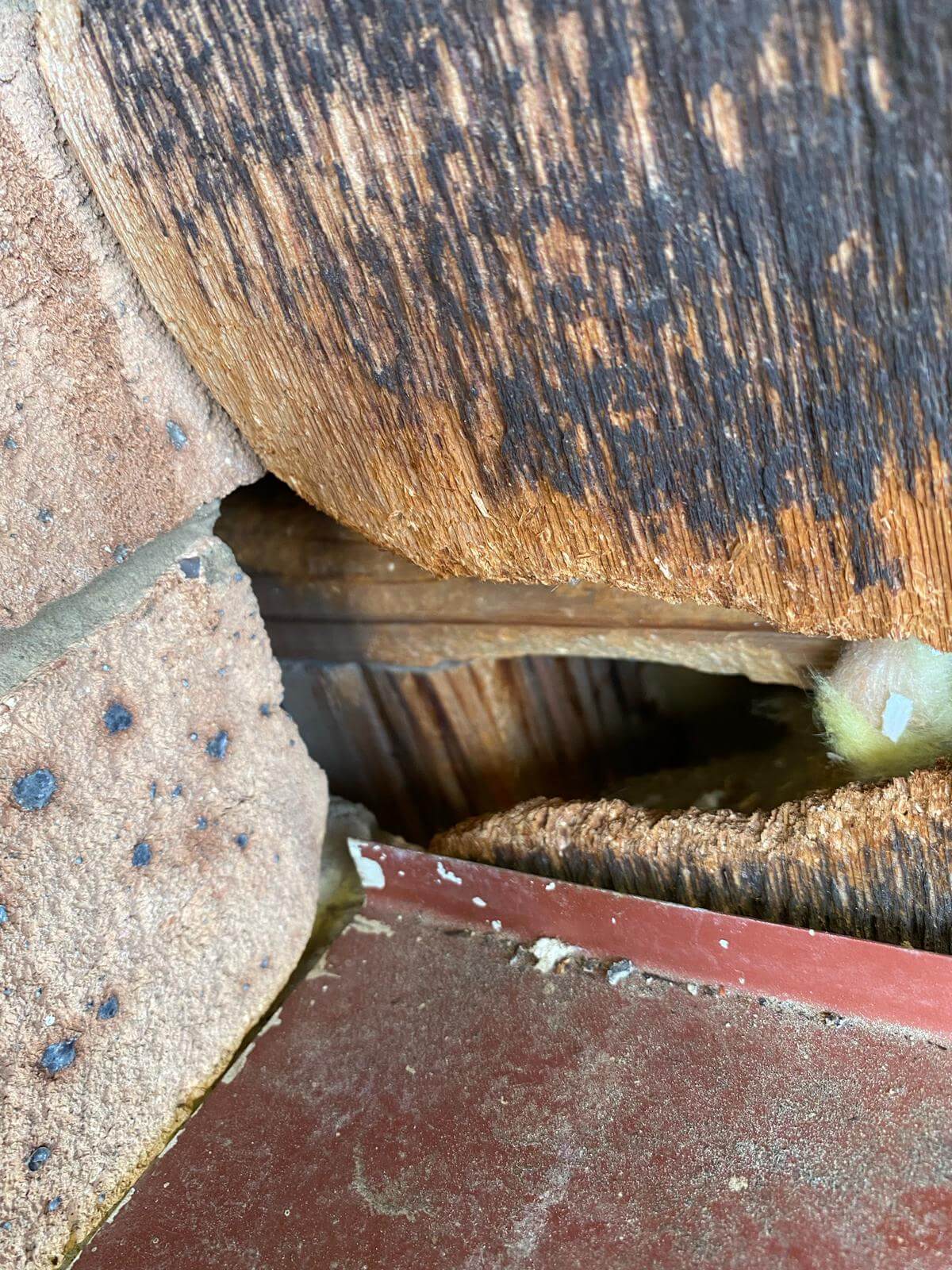 Gallery OZ Pest Control Canberra