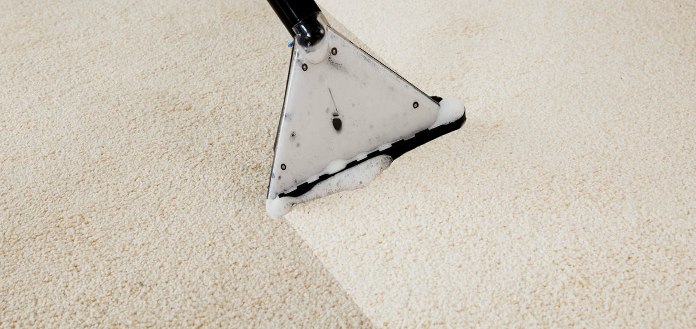 Sunshine Coast Carpet Cleaning & Pest Control