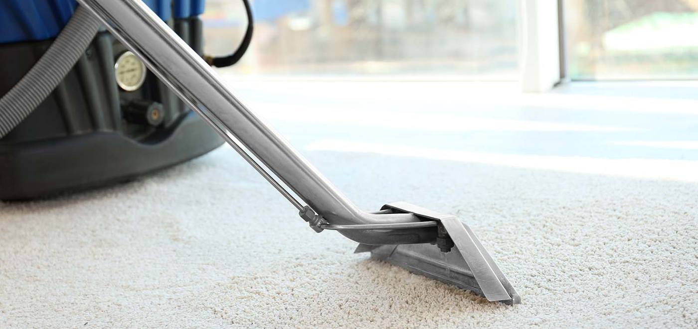 Sunshine Coast Carpet Cleaning & Pest Control