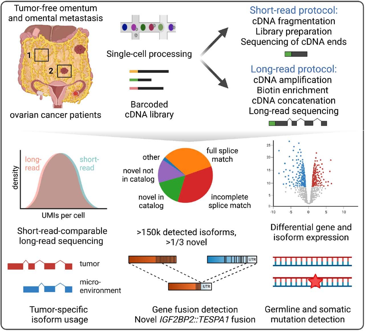 Longread sequencing the key to a more complete cancer transcriptome