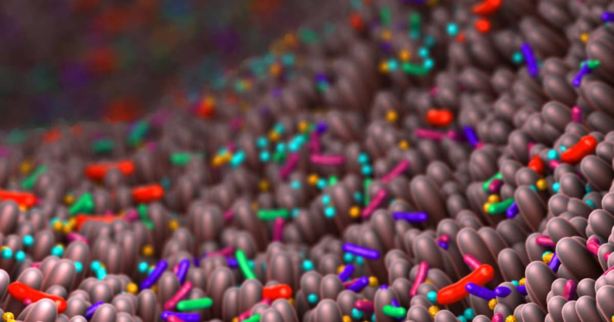 Costeffective microbiome and metagenomic HiFi sequencing with PacBio