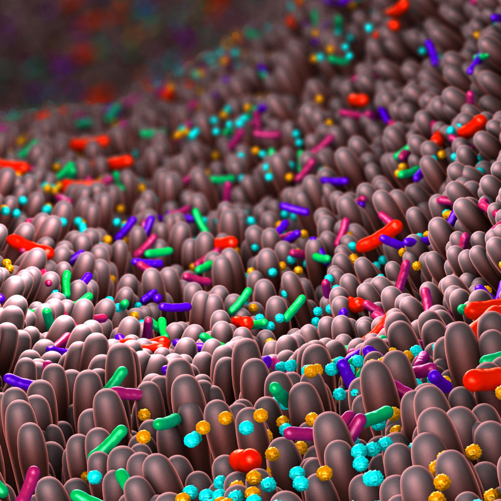 Costeffective microbiome and metagenomic HiFi sequencing with PacBio