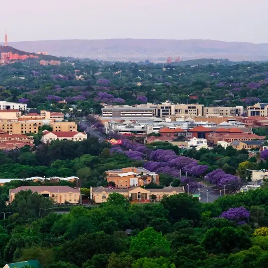 Vehicle Rental Rates Pace Car Rental