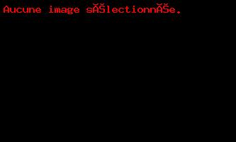 Pacific Auto - NOS RÉALISATIONS - Catégorie: covering