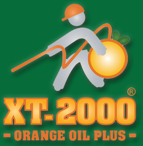 Termite Control Services California Pacific Coast Termite