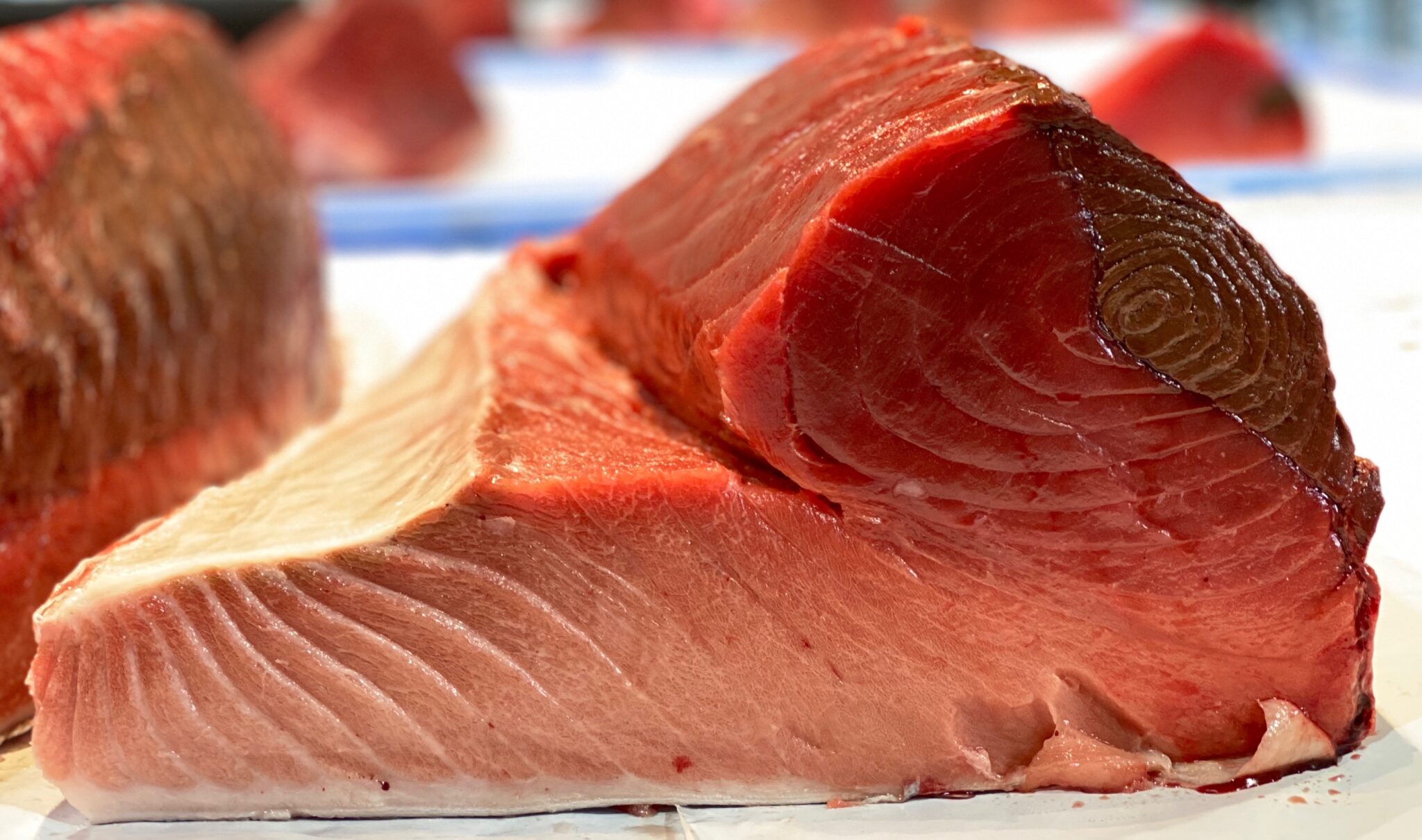 Bluefin Tuna Pacific Fresh
