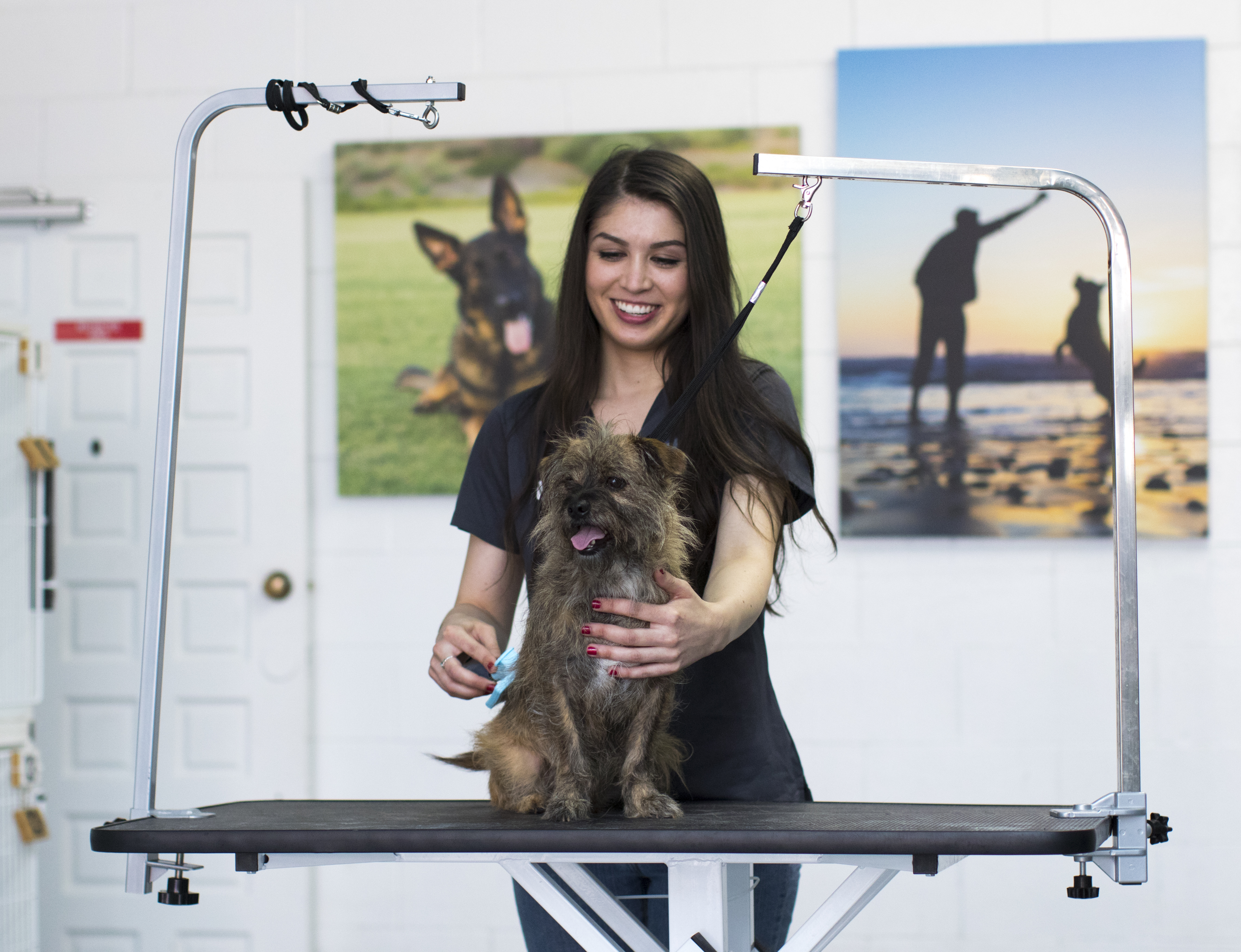 PPR Pet Grooming Pacific Pet Resort™
