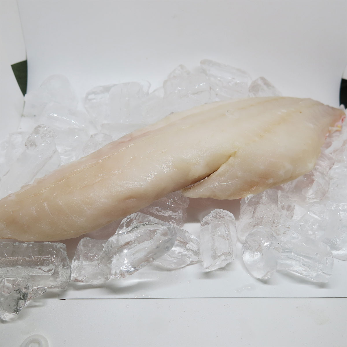 Fresh Haddock Pacific Rich Resources