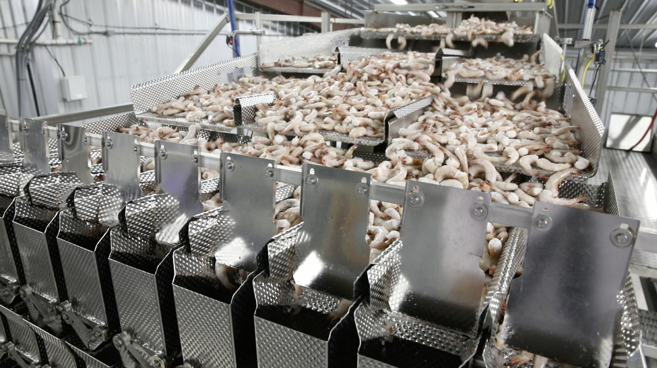 A Packaging Perspective in Frozen Foods Packaging Technology Today