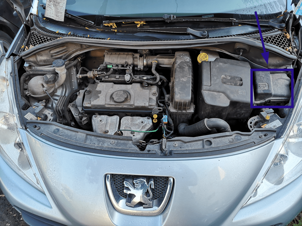 scena Larry Belmont pioggia amperaggio batteria peugeot 207 Generoso Diplomazia amaro