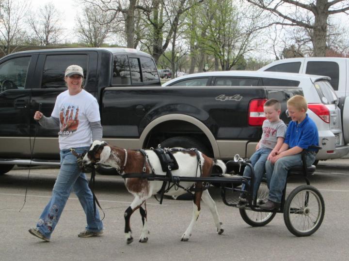 Weld County Goat Extravaganza! GoatORama