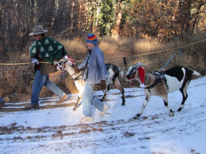2016 Beulah Parade and Yule Log Festival! GoatORama