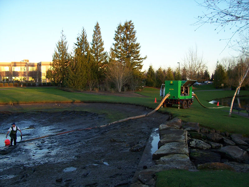 Pacific Landscape Management Portland, OR Commercial Landscape