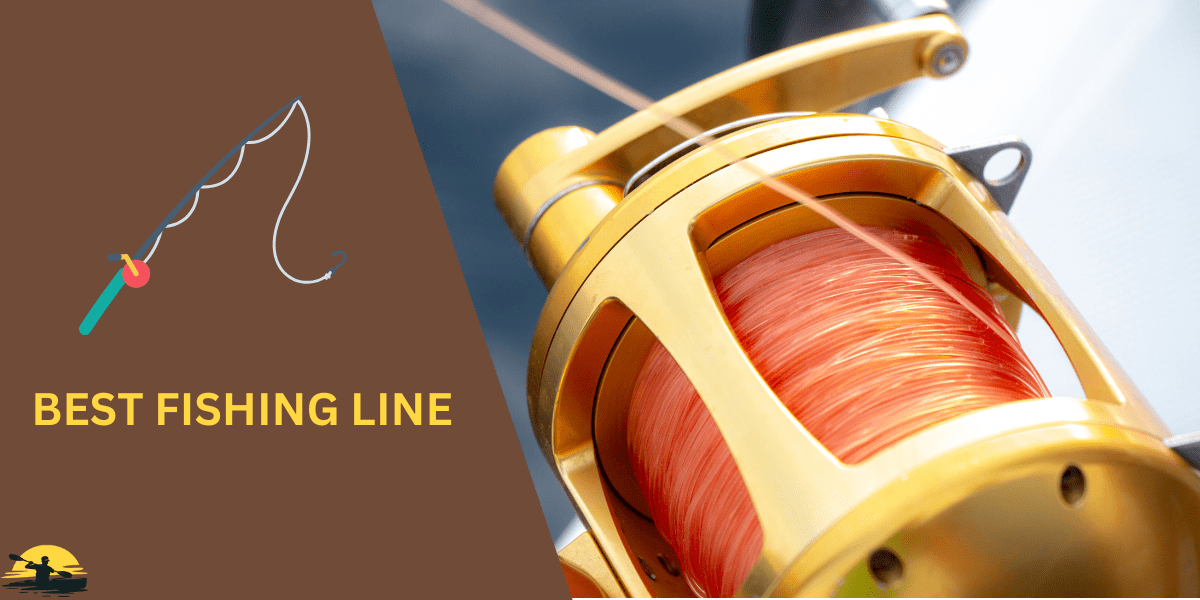 5 Best Fishing Lines 2024 Top Picks (Tested & Rated)