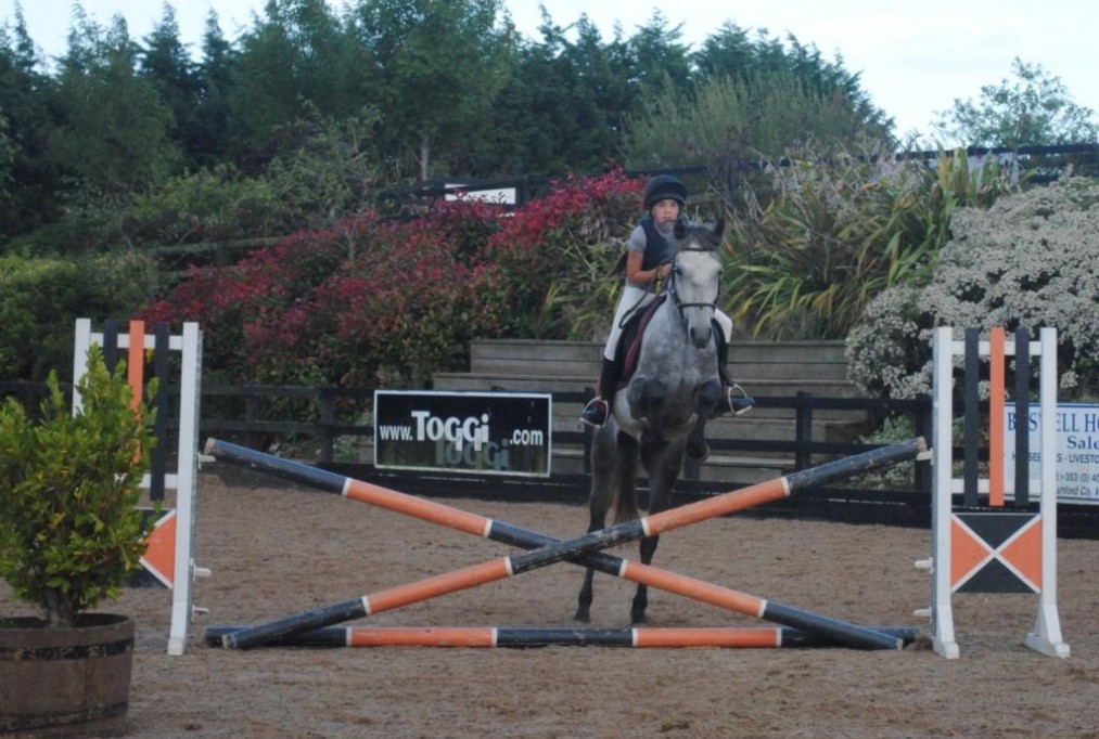 gallery_lessons Horse Riding Centre Dublin, riding lessons, livery