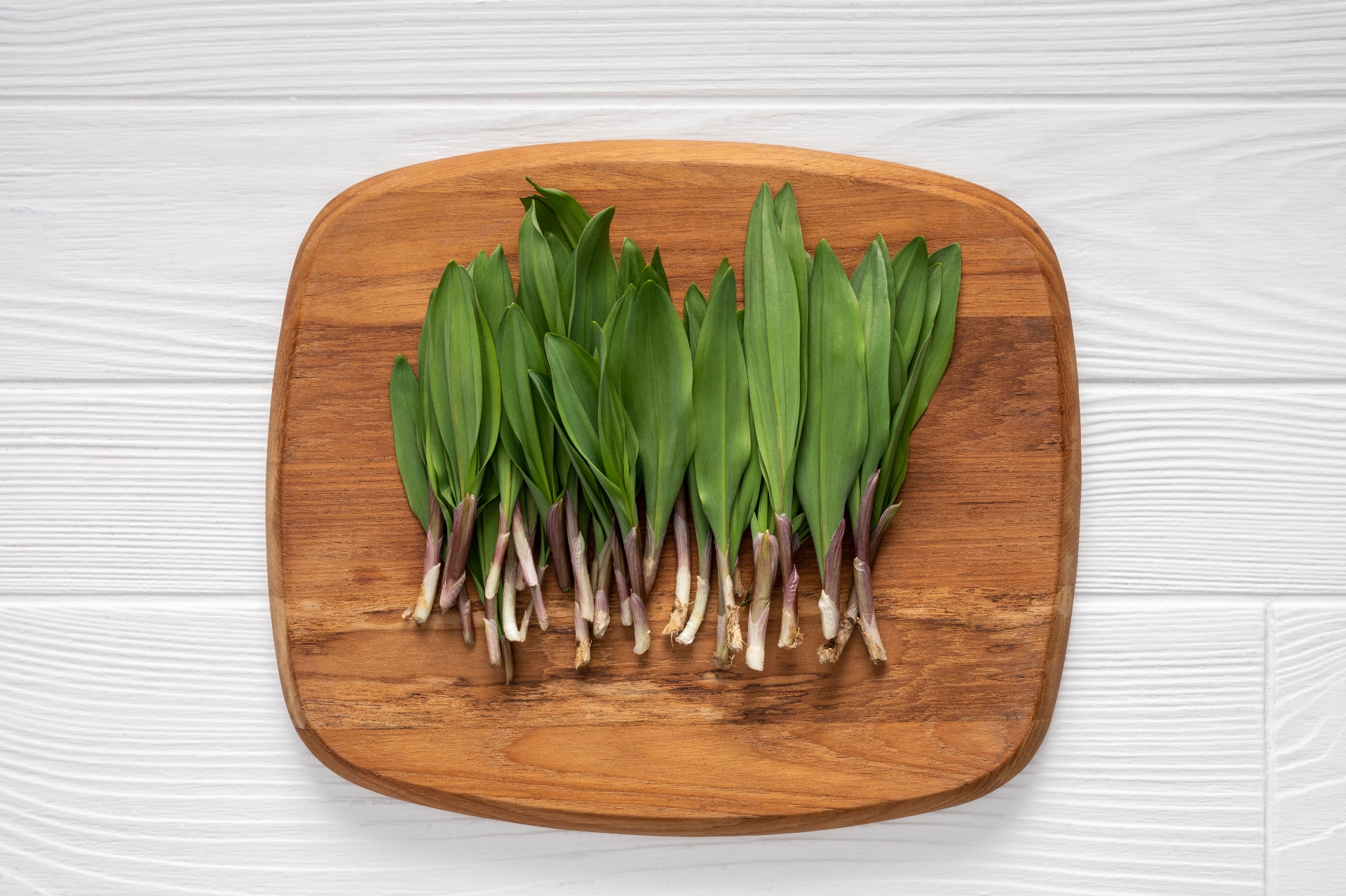 Foraged in Pennsylvania Ramps Wild Leeks Pennsylvania