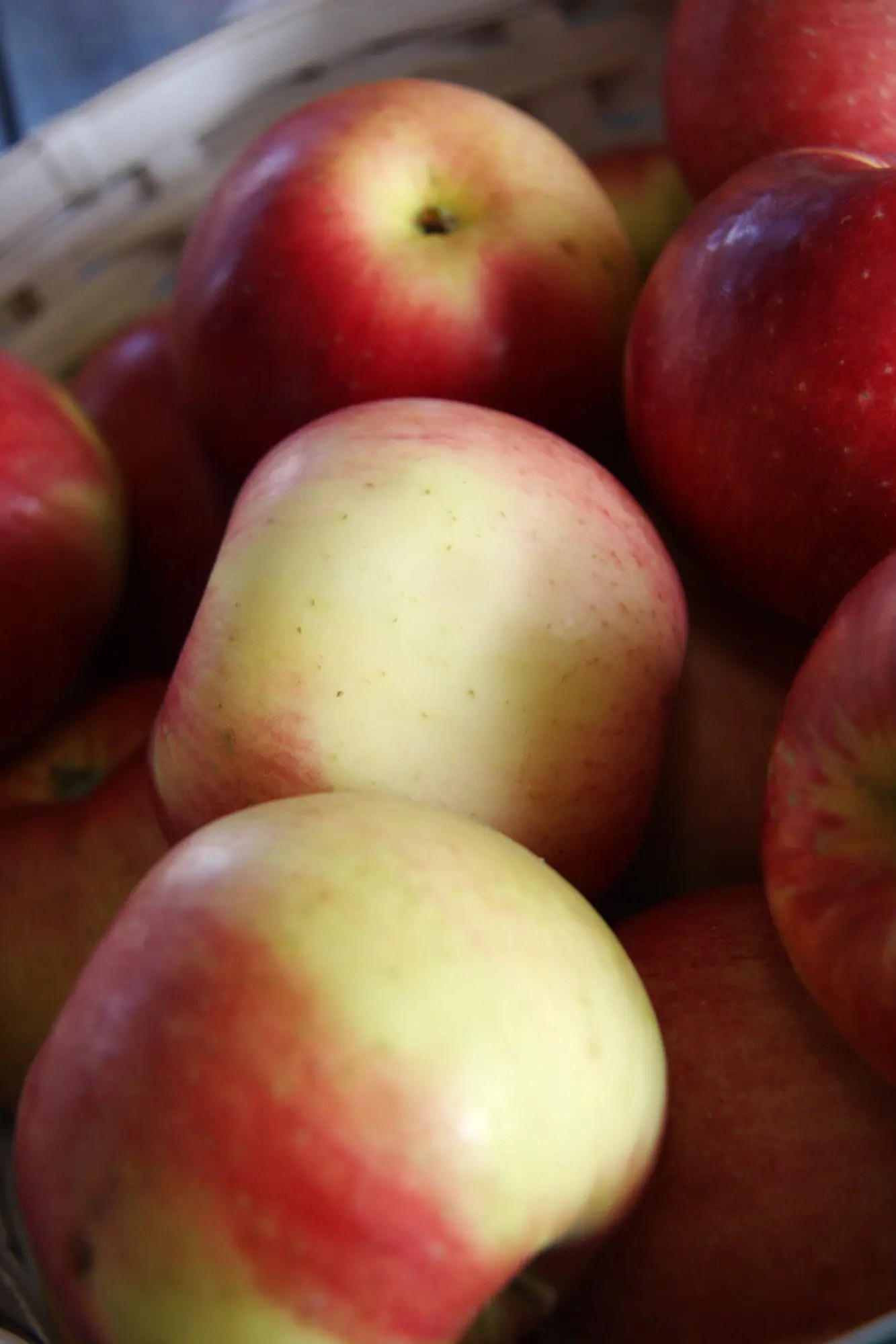 Minnesota Grown Apples Pahl's Market Apple Valley, MN