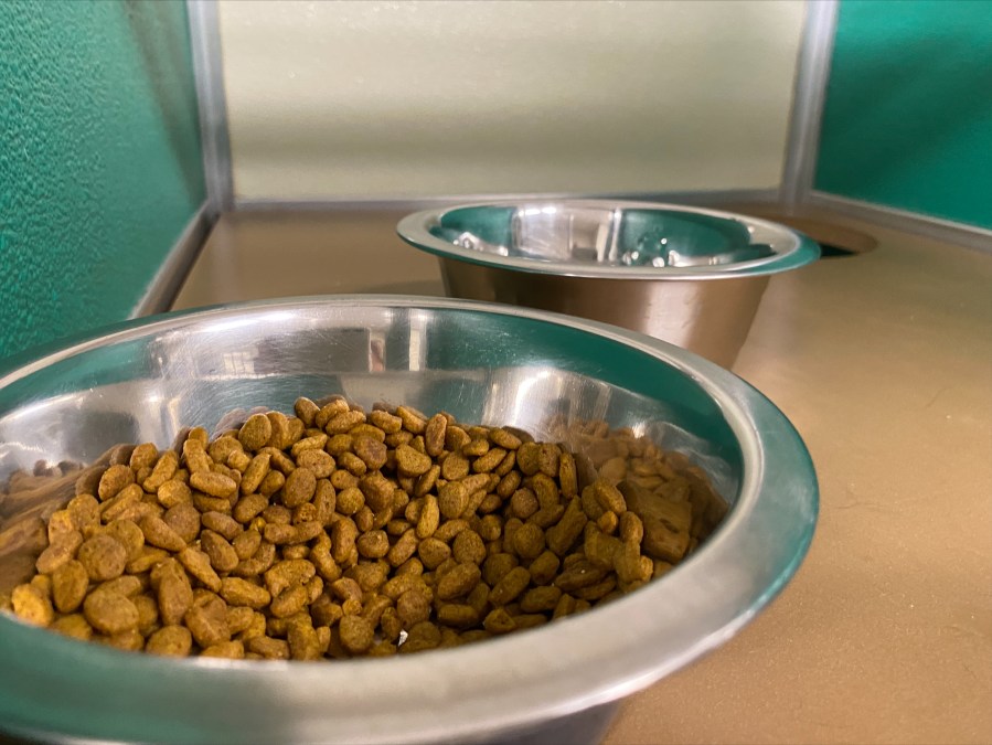 Cat food shortage hurts local animal shelter Eyewitness News