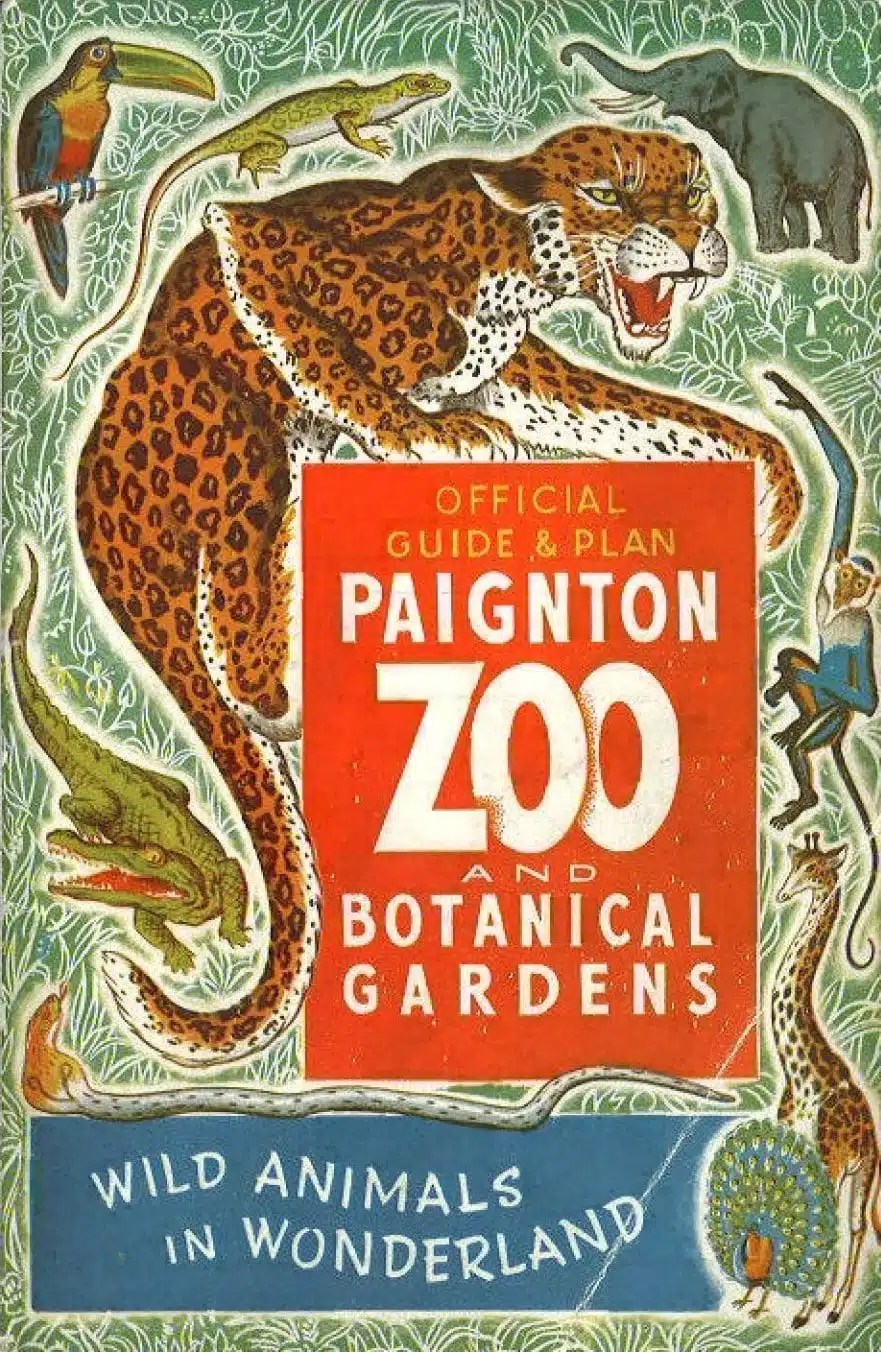 A day at the zoo in ‘52 Wild Trust