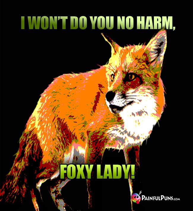 Fox Jokes, Foxy Puns, Vixen Humor