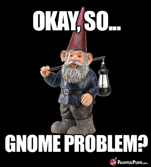 Garden Gnome Jokes, Gnome Puns, Elf Humor 2 PainfulPuns. com