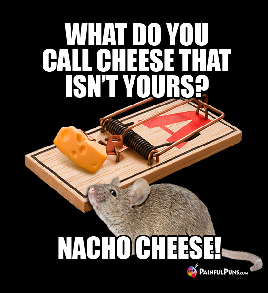 Grate Cheese Jokes, Cheesy Puns, Brie Sharp Humor