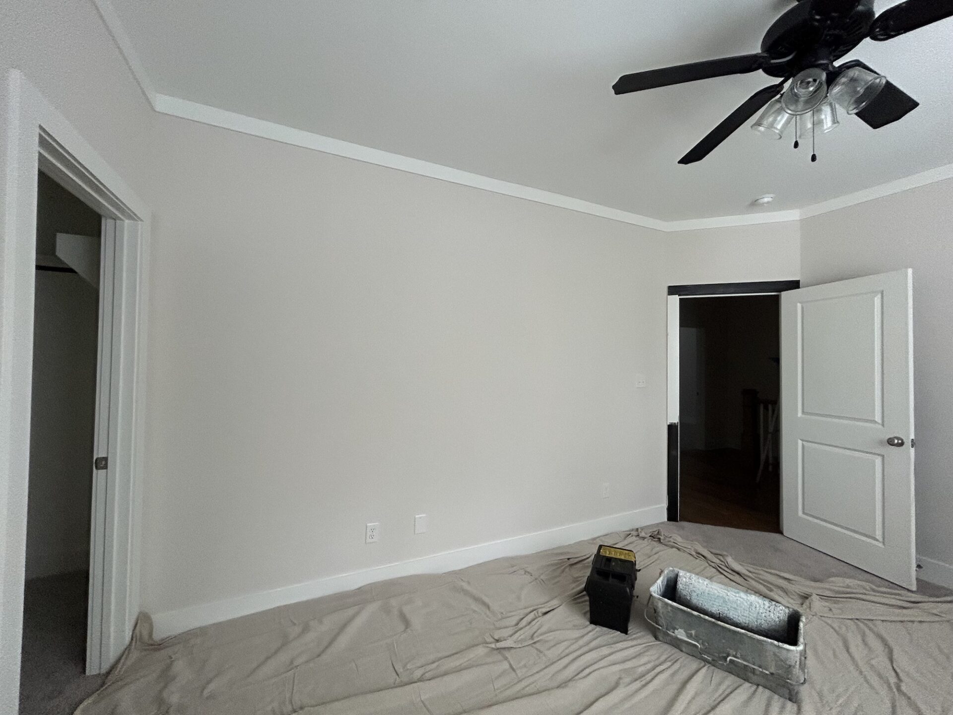 Our Portfolio Brush & Roll Painting