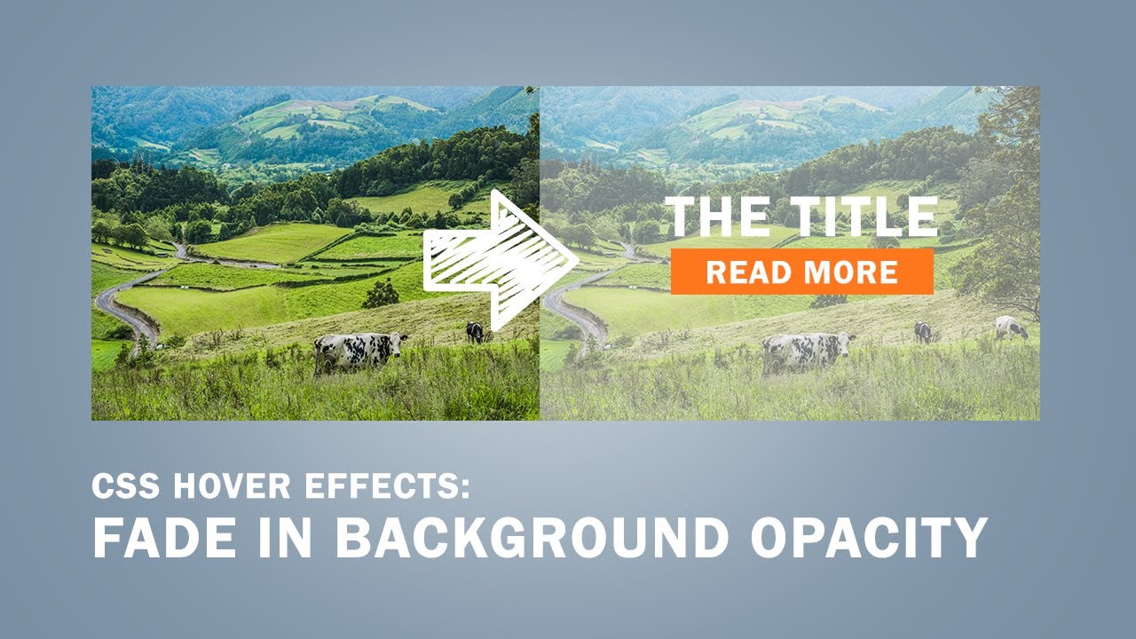 75 Background Image Opacity Css Without Affecting Text Pictures