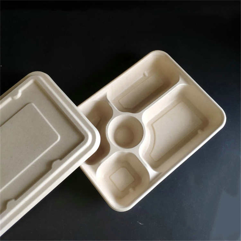 Bagasse food trays Custom Printed DisposableBuy biodegradable lunch