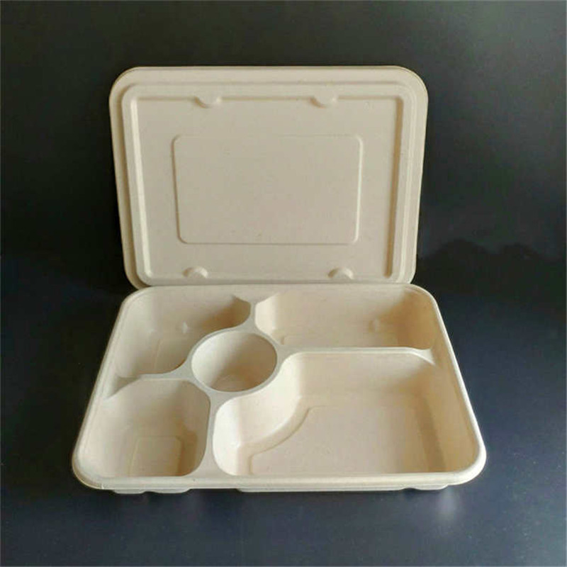 Bagasse food trays Custom Printed DisposableBuy biodegradable lunch