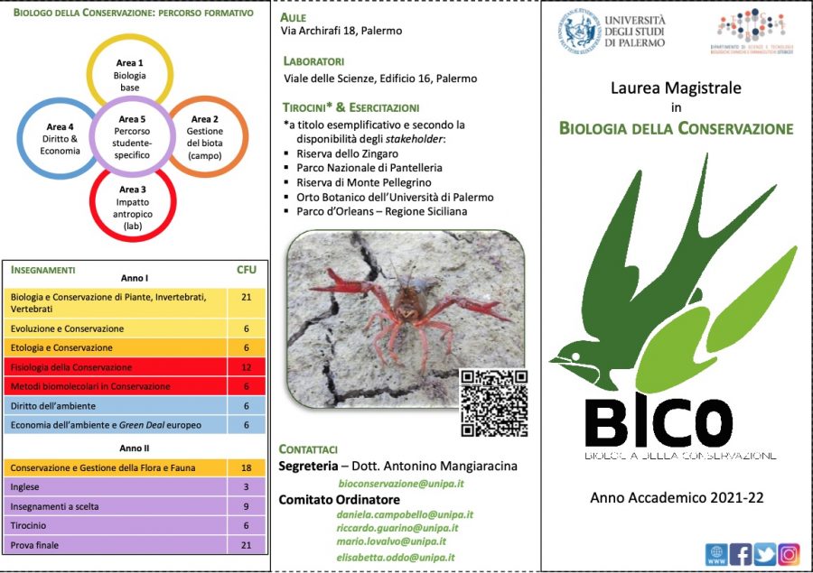 Aperte Le Iscrizioni Al Nuovo Corso Di Laurea Magistrale All'università Di Palermo Biologia Della Conservazione - Palermo Felicissima 635_x_900_jpg