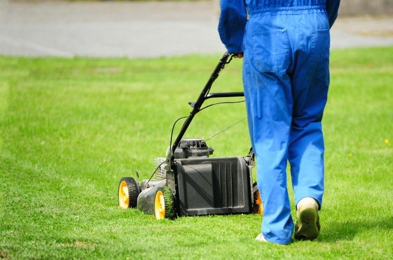 What You Should Know About Lawn Mower Injuries