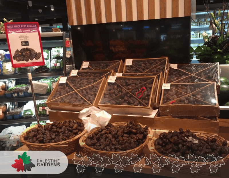 main PALESTINE GARDENS