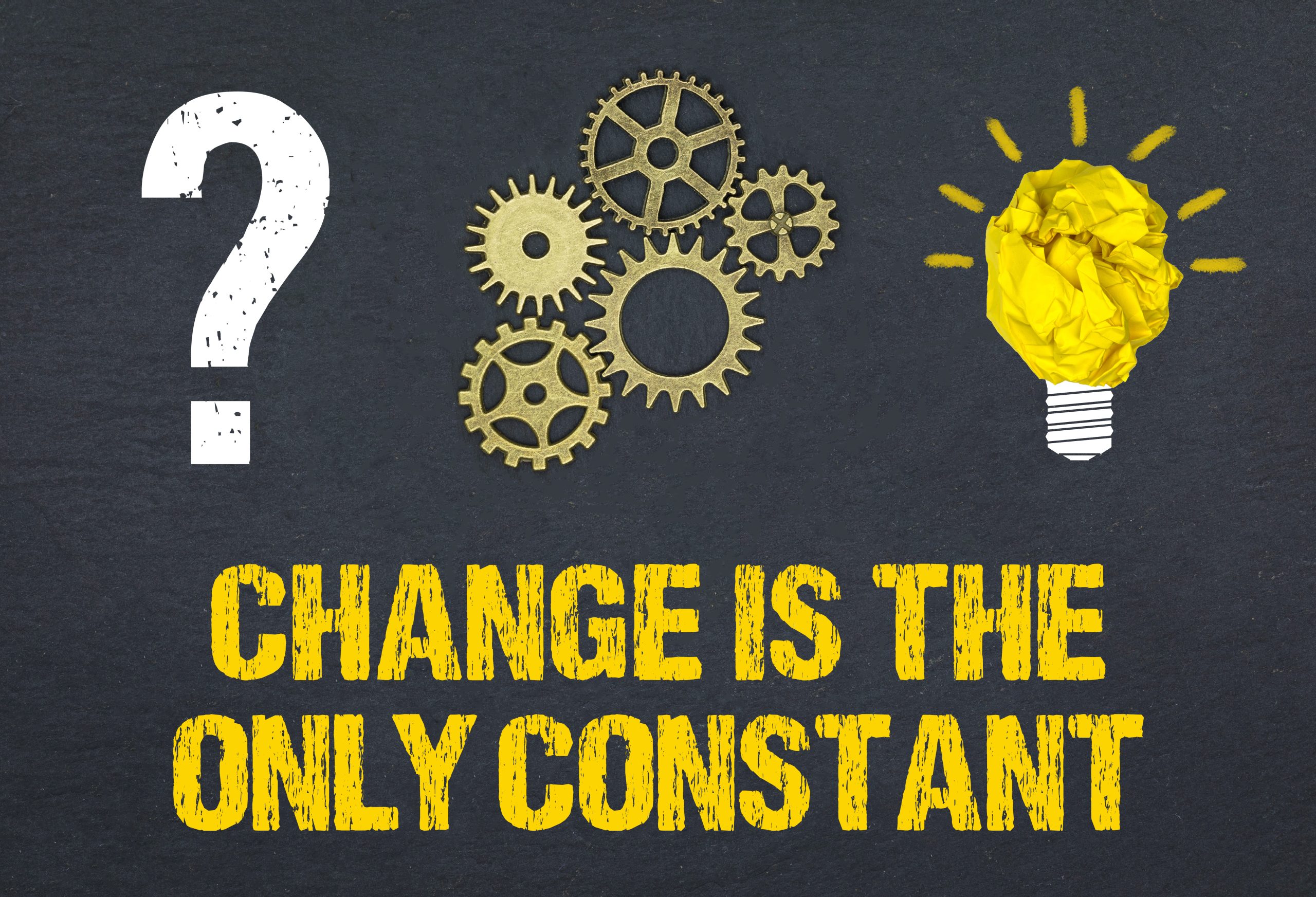 CONSTANT CHANGE AND TRANSITION 1 PalletOne Inc.