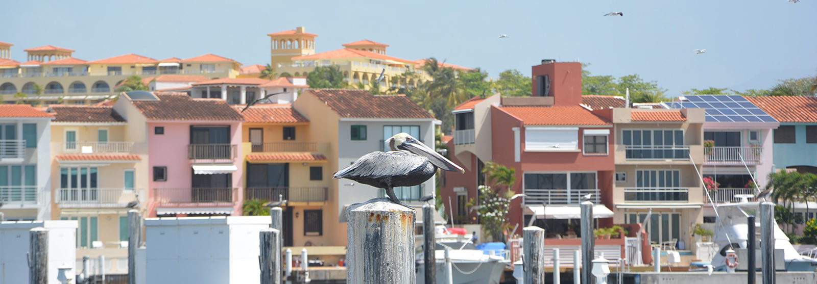 Palmas del Mar Homeowners Association Humacao, Puerto Rico