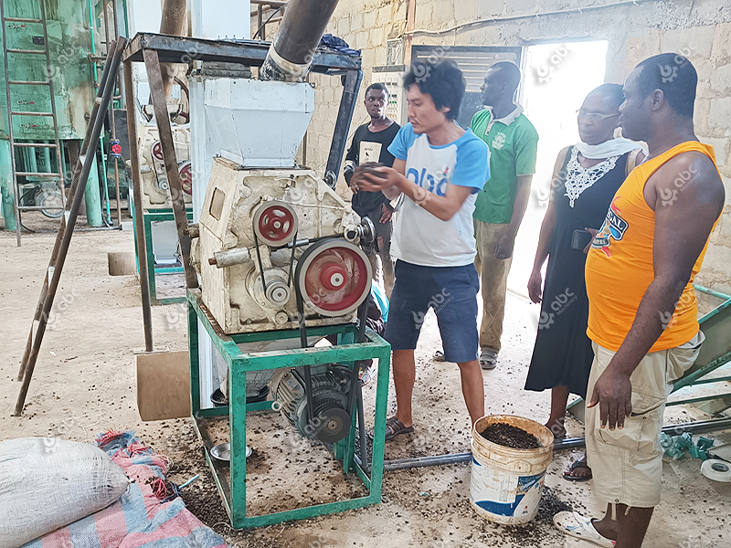 1TPH Palm Oil Mill Project Setup in NigeriaPalm Fruit,Kernel Oil Pressing & Refining