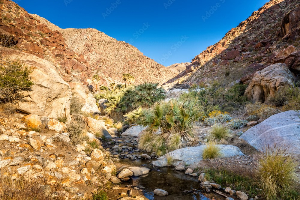 La Quinta Demographics Palm Springs Visitors Guide