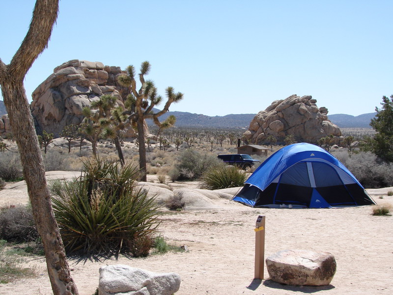 Joshua Tree National Park Campground & RV