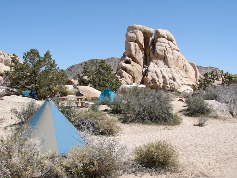 Joshua Tree National Park Campground & RV