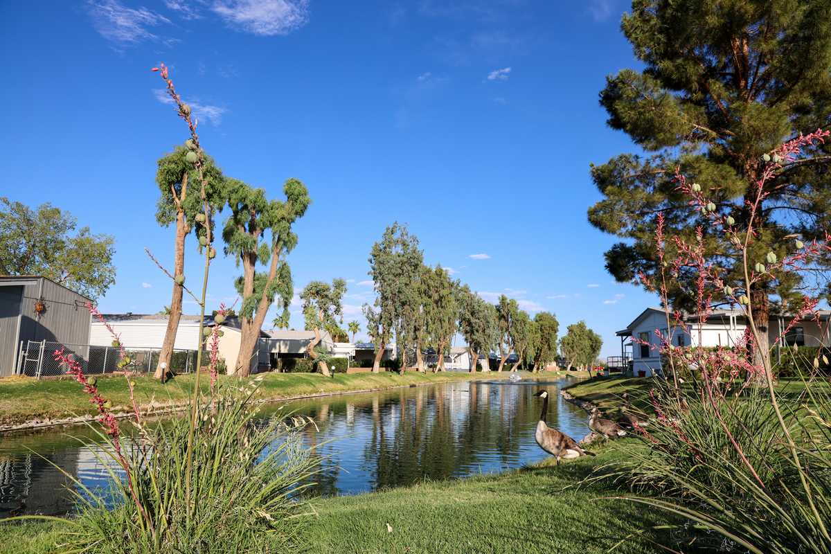 GALLERY The Palms at Verde Shores Needles, CA