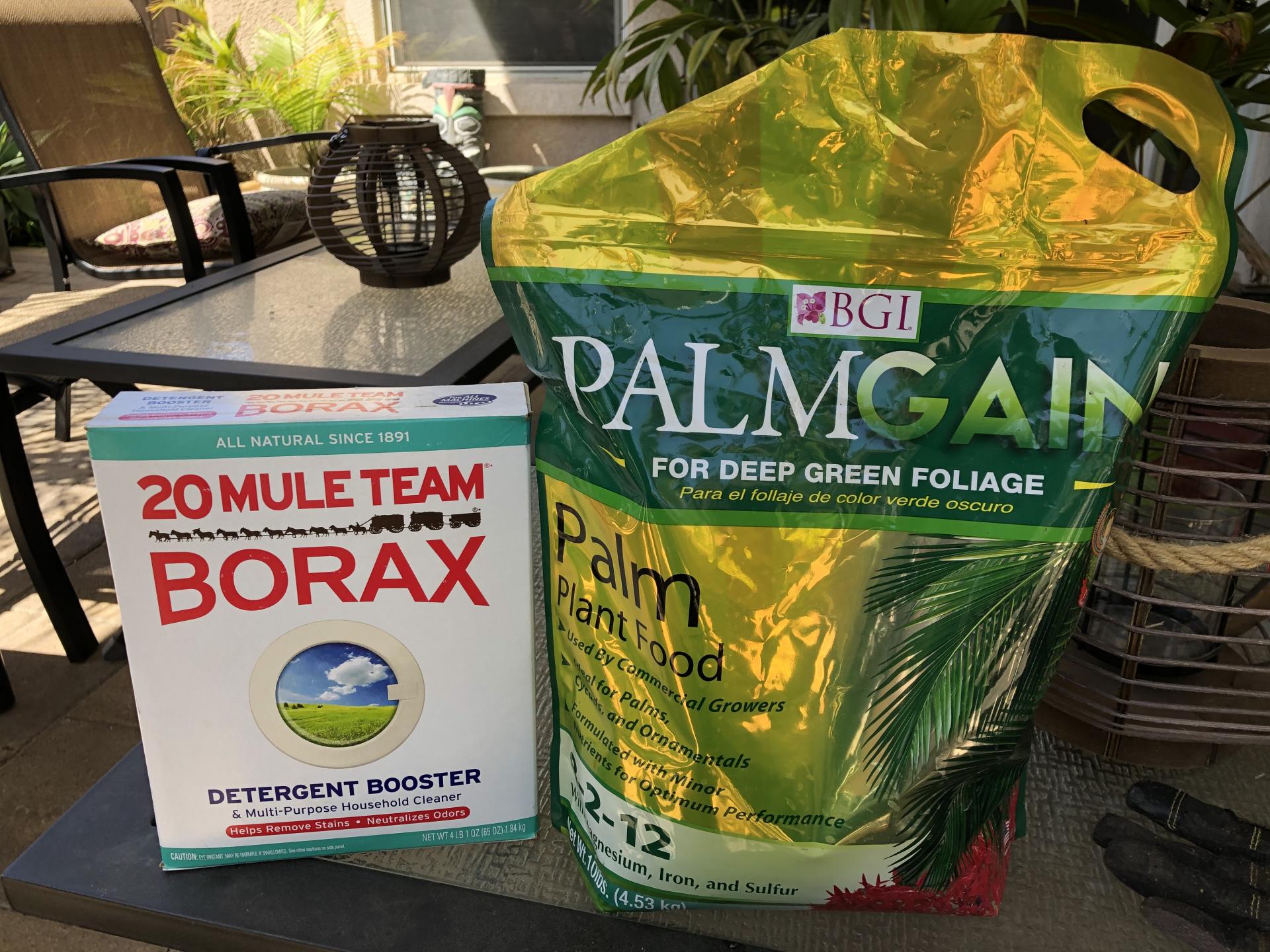 Boron Question DISCUSSING PALM TREES WORLDWIDE PalmTalk