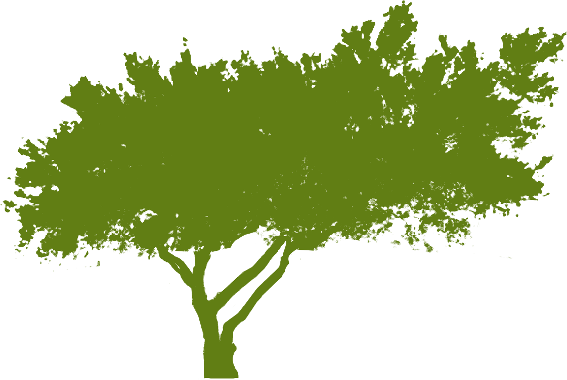 Palo Verde Networks Any Bandwidth, Any Wavelength, Any Time.