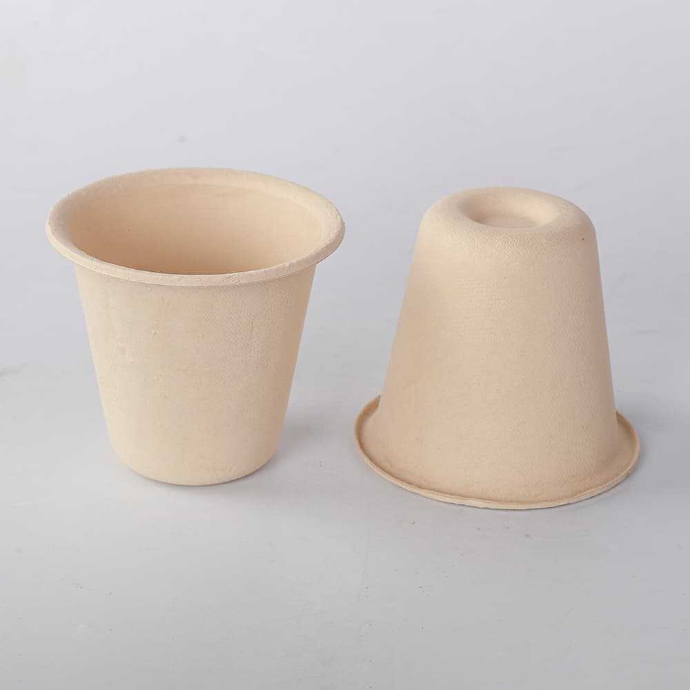 Disposable Bamboo Cups OEM & ODM Solutions