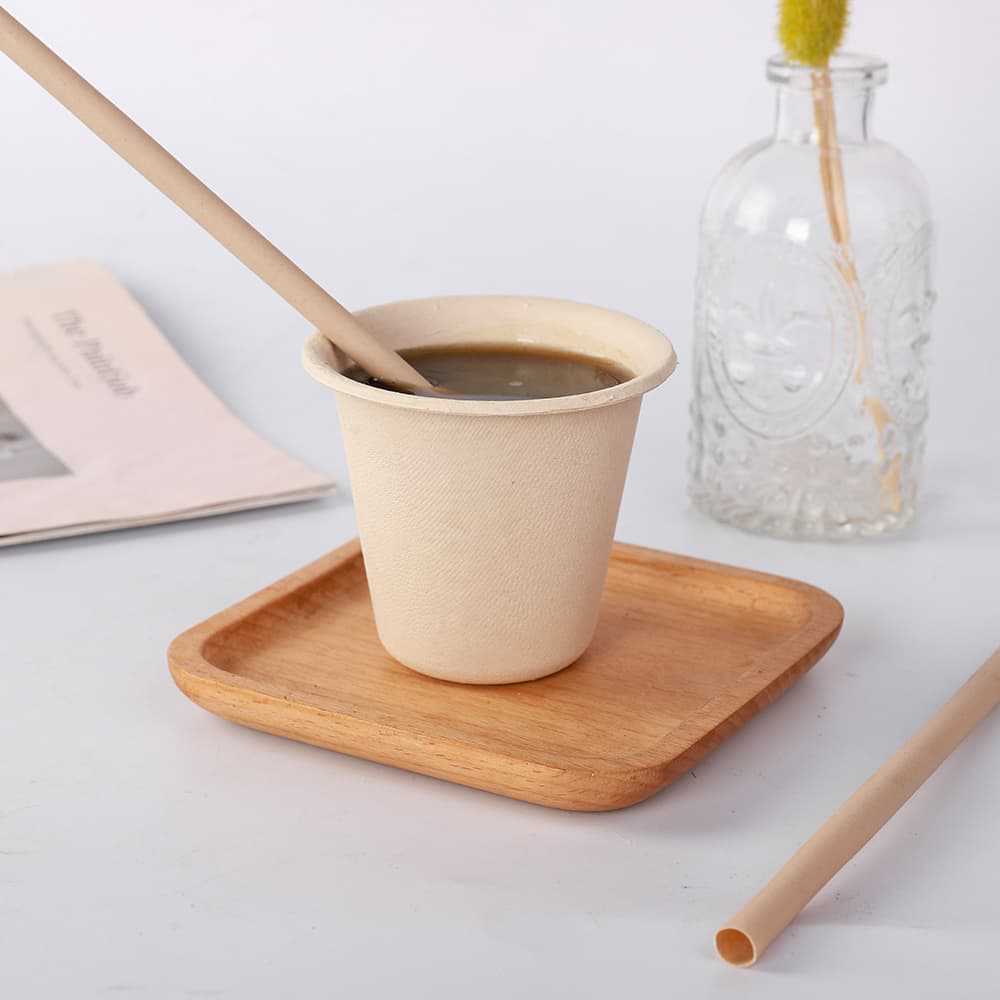 Disposable Bamboo Cups OEM & ODM Solutions