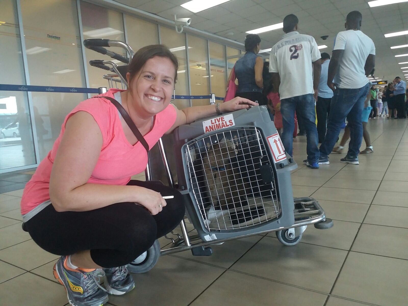 Bringing pets into Panama Panama Pet Relocation