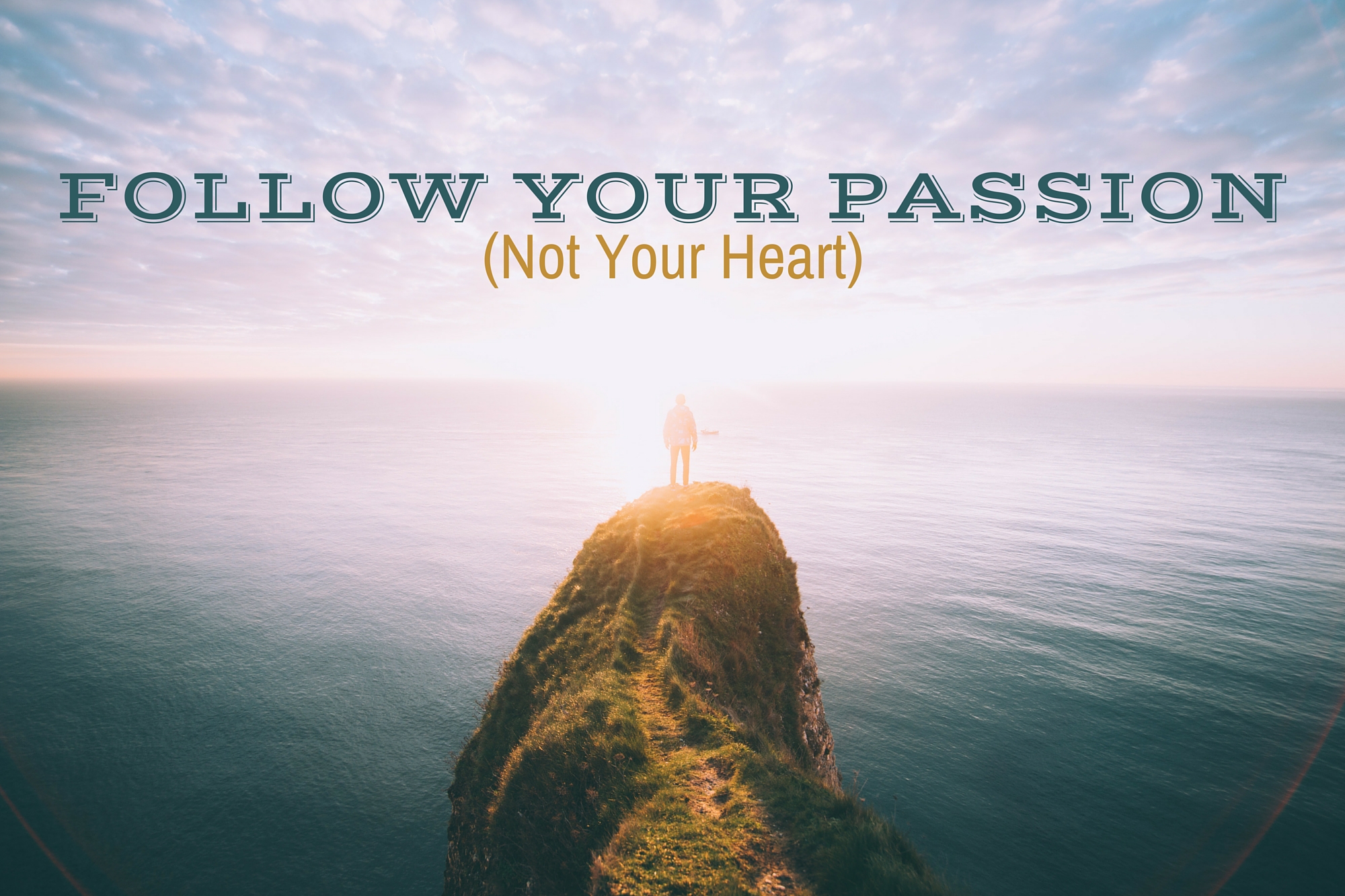 Follow Your Passion, Not Your Heart paNASH Passion & Career Coaching